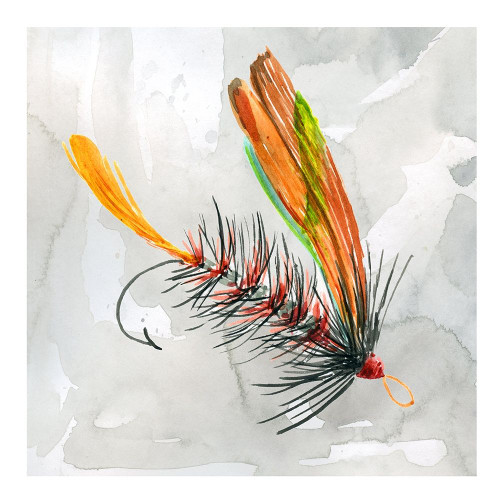 Fly Hook II Poster Print by Carol Robinson - Item # VARPDX40884