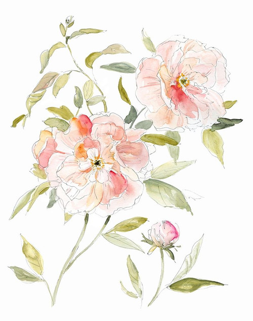 Sketchbook Cottage Rose II Poster Print by Carol Robinson - Item # VARPDX40892