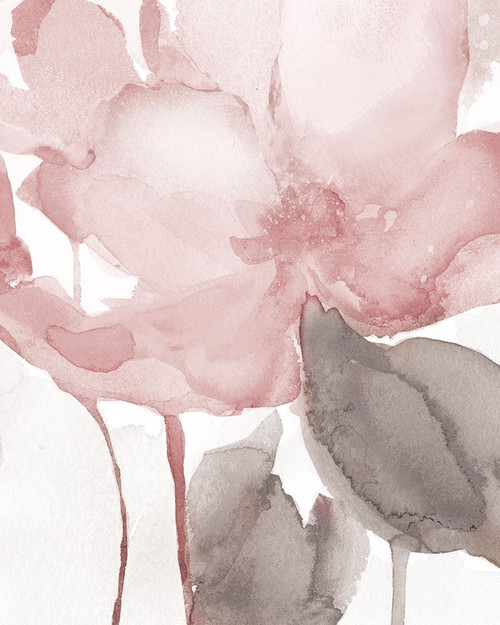 Blush Bloom II Poster Print by Carol Robinson - Item # VARPDX41016