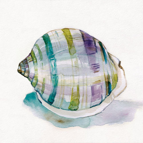 Malecon Shell III Poster Print by Carol Robinson - Item # VARPDX41058