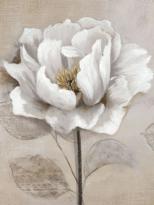 Soft White II Poster Print by Nan Nan - Item # VARPDX41076