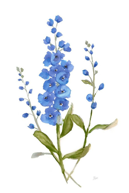 Petite Botanical I Poster Print by Nan Nan - Item # VARPDX41100