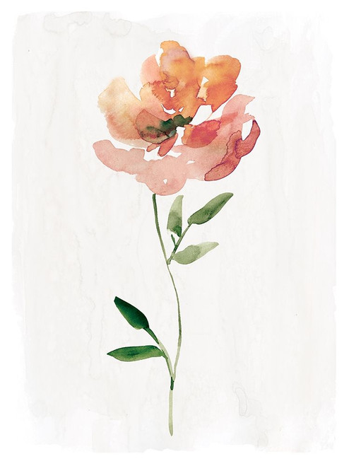 Happy Bloom I Poster Print by Carol Robinson - Item # VARPDX41166