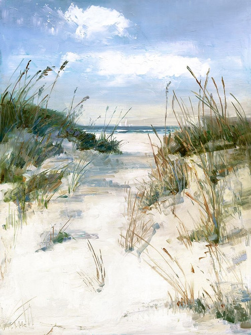 Dune View Poster Print by Sally Swatland - Item # VARPDX41178