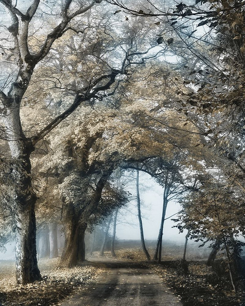 Road to Tomorrow Poster Print by Lars Van de Goor - Item # VARPDX41180