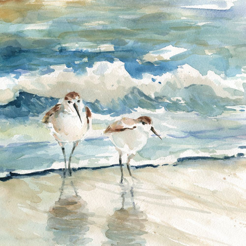 Beach Birds Poster Print by Carol Robinson - Item # VARPDX41390