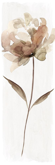 Neutral Bloom II Poster Print by Carol Robinson - Item # VARPDX41397