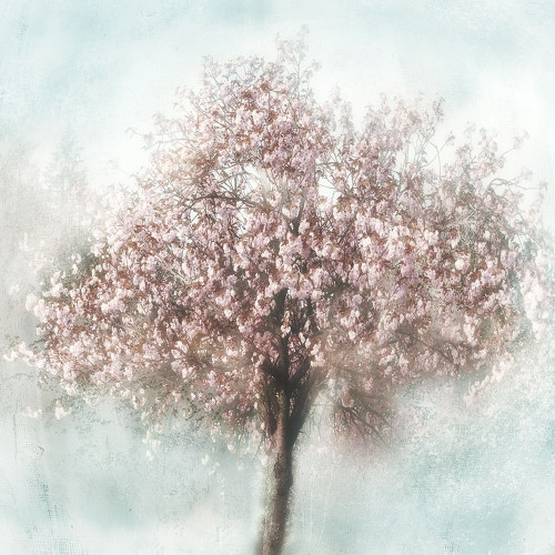 Awakening I Poster Print by Irene Weisz - Item # VARPDX41533