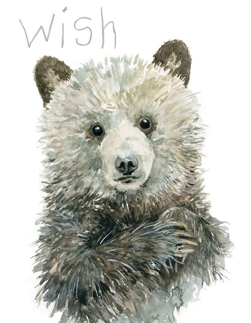 Forest Fur Baby Bear Poster Print by Carol Robinson - Item # VARPDX41558