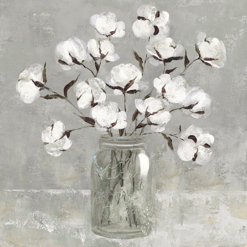 Cotton Bouquet Poster Print by Carol Robinson - Item # VARPDX41566