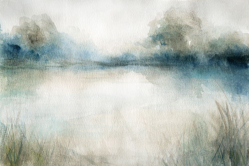 Still Evening Waters I Poster Print by Carol Robinson - Item # VARPDX41755