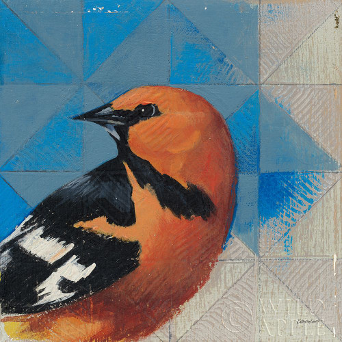 Oriole Poster Print by Kathrine Lovell - Item # VARPDX43541