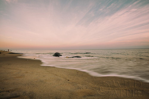 Beach Rays Poster Print by Aledanda Aledanda - Item # VARPDX46202