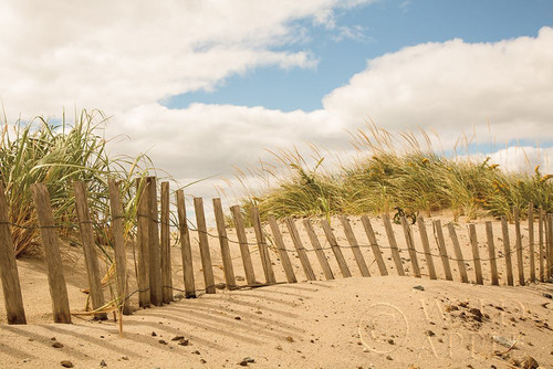 Beach Dunes I Poster Print by Aledanda Aledanda - Item # VARPDX46210
