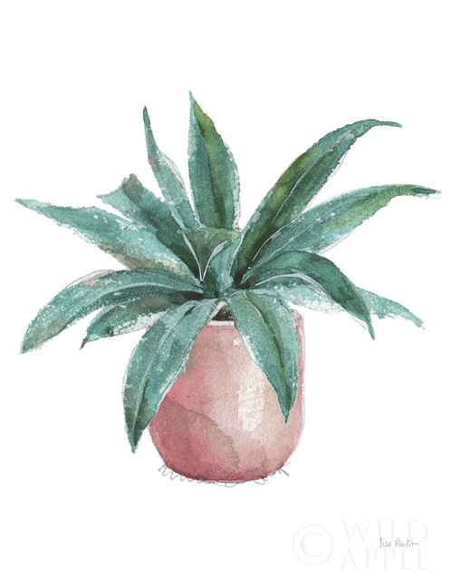 Mixed Greens Succulent I Poster Print by Lisa Audit - Item # VARPDX47779