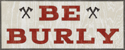 Cabin Life VIII Poster Print by Sue Schlabach - Item # VARPDX47898