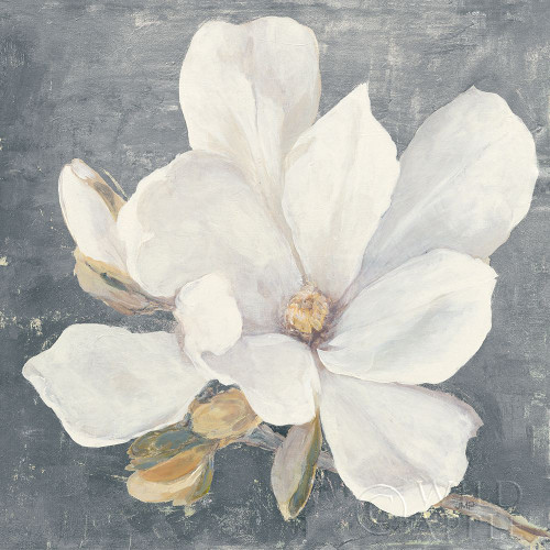 Serene Magnolia Gray Poster Print by Julia Purinton - Item # VARPDX48464