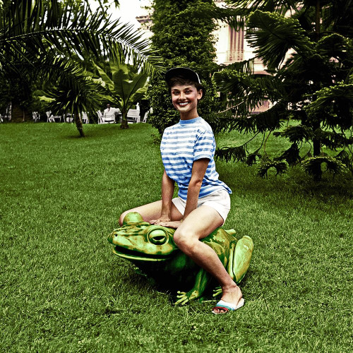 Audrey Hepburn Poster Print by Hollywood Photo Archive Hollywood Photo Archive - Item # VARPDX487036