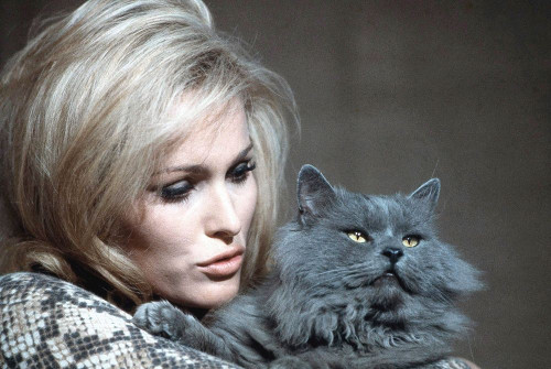 Ursula Andress Poster Print by Hollywood Photo Archive Hollywood Photo Archive - Item # VARPDX488721