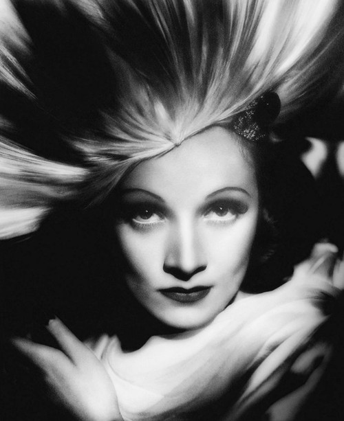 Marlene Dietrich Poster Print by Hollywood Photo Archive Hollywood Photo Archive - Item # VARPDX488920 Marlene Dietrich Poster Print by Hollywood Photo Archive Hollywood Photo Archive - Item # VARPDX488920