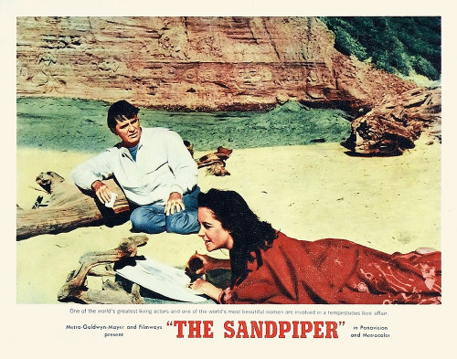 Elizabeth Taylor - Sandpiper - Lobby Card Poster Print by Hollywood Photo Archive Hollywood Photo Archive - Item # VARPDX489779