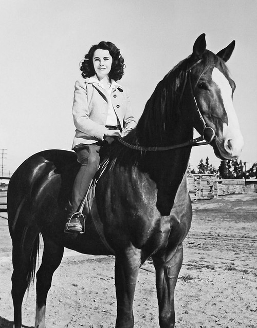 National Velvet - Elizabeth Taylor Poster Print by Hollywood Photo Archive Hollywood Photo Archive - Item # VARPDX489935