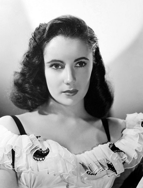 Elizabeth Taylor Poster Print by Hollywood Photo Archive Hollywood Photo Archive - Item # VARPDX489996