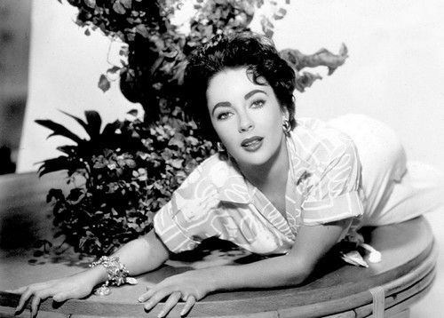 Elizabeth Taylor Poster Print by Hollywood Photo Archive Hollywood Photo Archive - Item # VARPDX490004