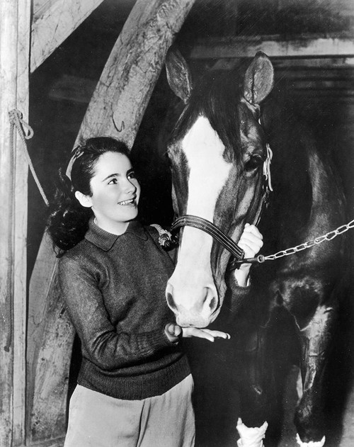 National Velvet - Elizabeth Taylor Poster Print by Hollywood Photo Archive Hollywood Photo Archive