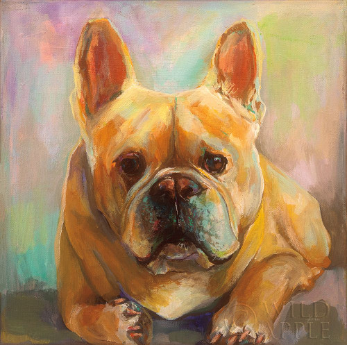 Frenchie Poster Print by Jeanette Vertentes - Item # VARPDX49341
