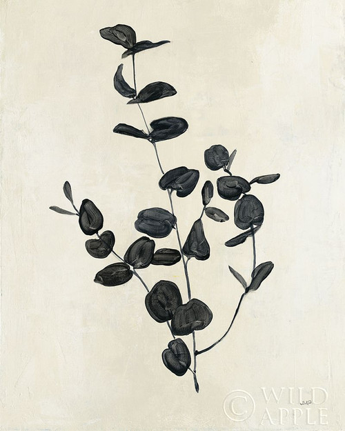 Botanical Study II Poster Print by Julia Purinton - Item # VARPDX49720