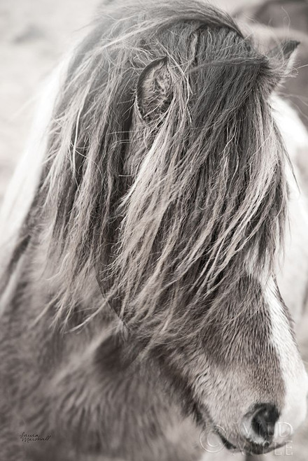 Elska I BW Poster Print by Laura Marshall - Item # VARPDX49815