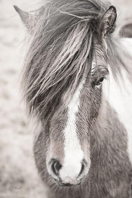 Elska II BW Poster Print by Laura Marshall - Item # VARPDX49817