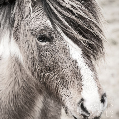 Elska III BW Poster Print by Laura Marshall - Item # VARPDX49819