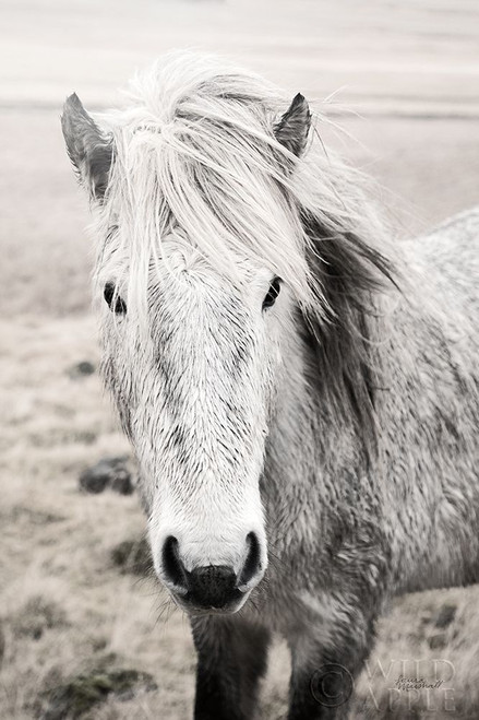 Heida II BW Poster Print by Laura Marshall - Item # VARPDX49825 Heida II BW Poster Print by Laura Marshall - Item # VARPDX49825