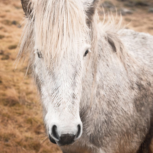 Heida IV Poster Print by Laura Marshall - Item # VARPDX49828