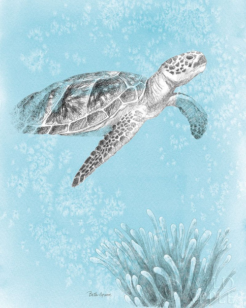 Coastal Sea Life I v2 Poster Print by Beth Grove - Item # VARPDX49917