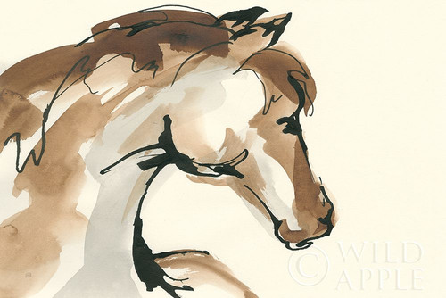 Horse Head I Poster Print by Chris Paschke - Item # VARPDX49929