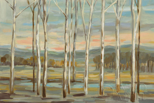 Silver Forest Poster Print by Silvia Vassileva - Item # VARPDX50287