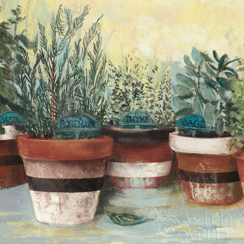 Potted Herbs II Stripes Crop Poster Print by Carol Rowan - Item # VARPDX50559