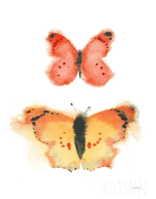 Watercolor Butterflies IV Poster Print by Shirley Novak - Item # VARPDX50704