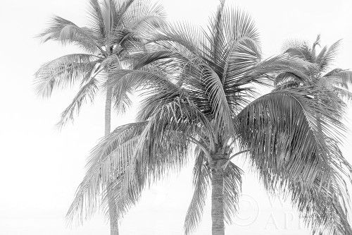 Breezy IV Poster Print by Elizabeth Urquhart - Item # VARPDX50754