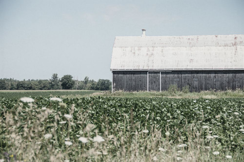 Weathered I Poster Print by Elizabeth Urquhart - Item # VARPDX50755