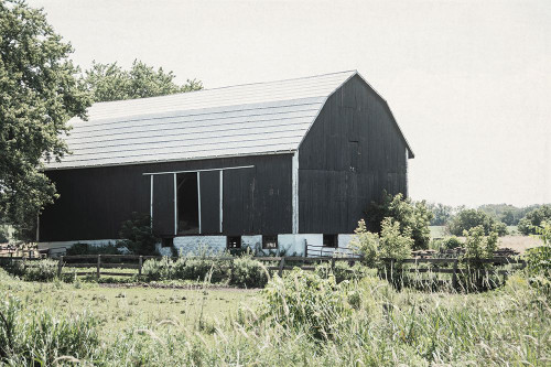 Weathered II Poster Print by Elizabeth Urquhart - Item # VARPDX50756
