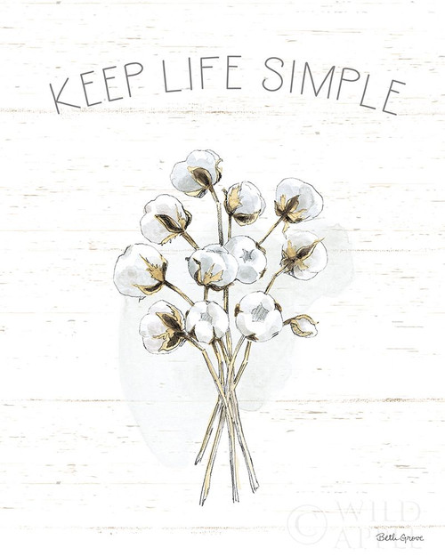 Farmhouse Cotton IV Poster Print by Beth Grove - Item # VARPDX50898