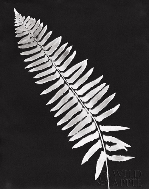 Nature by the Lake Ferns IV Black Crop Poster Print by Piper Rhue - Item # VARPDX51196
