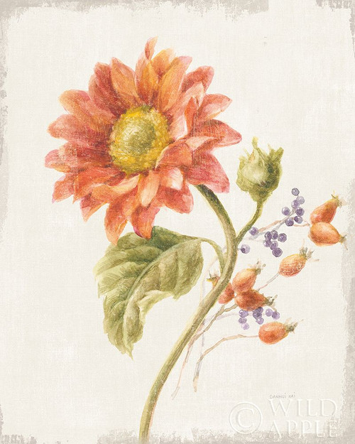 Floursack Autumn II v2 Poster Print by Danhui Nai - Item # VARPDX51402