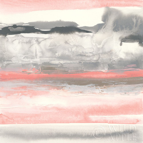 Charcoal and Coral I Poster Print by Chris Paschke - Item # VARPDX51485