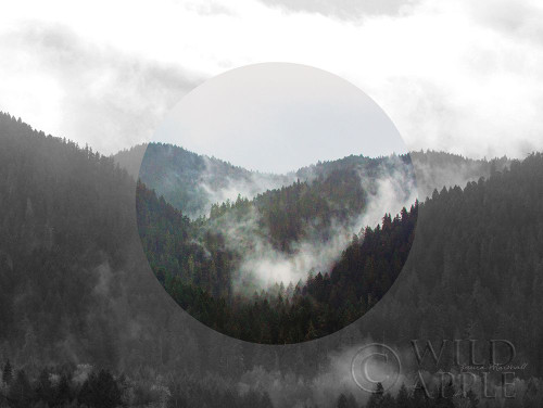 Bold Adventures IV v2 No Words Poster Print by Laura Marshall - Item # VARPDX52652