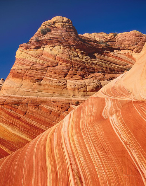 Coyote Buttes I Poster Print by Alan Majchrowicz - Item # VARPDX53280